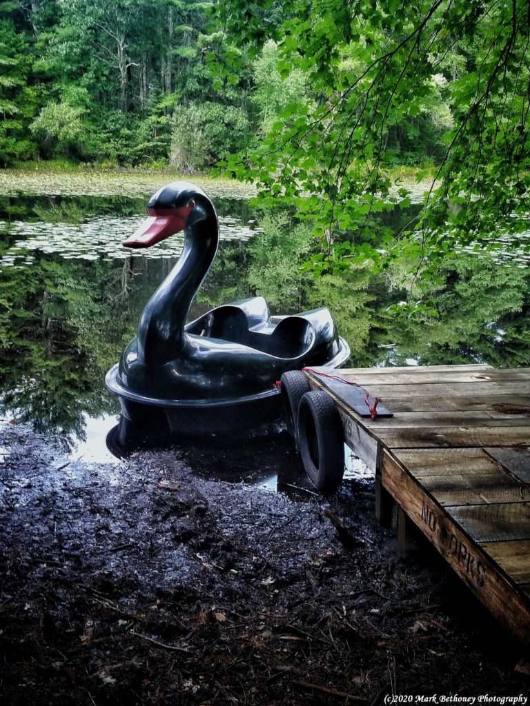 Black Swan pedddleboat docked Black Swan pedddleboat docked