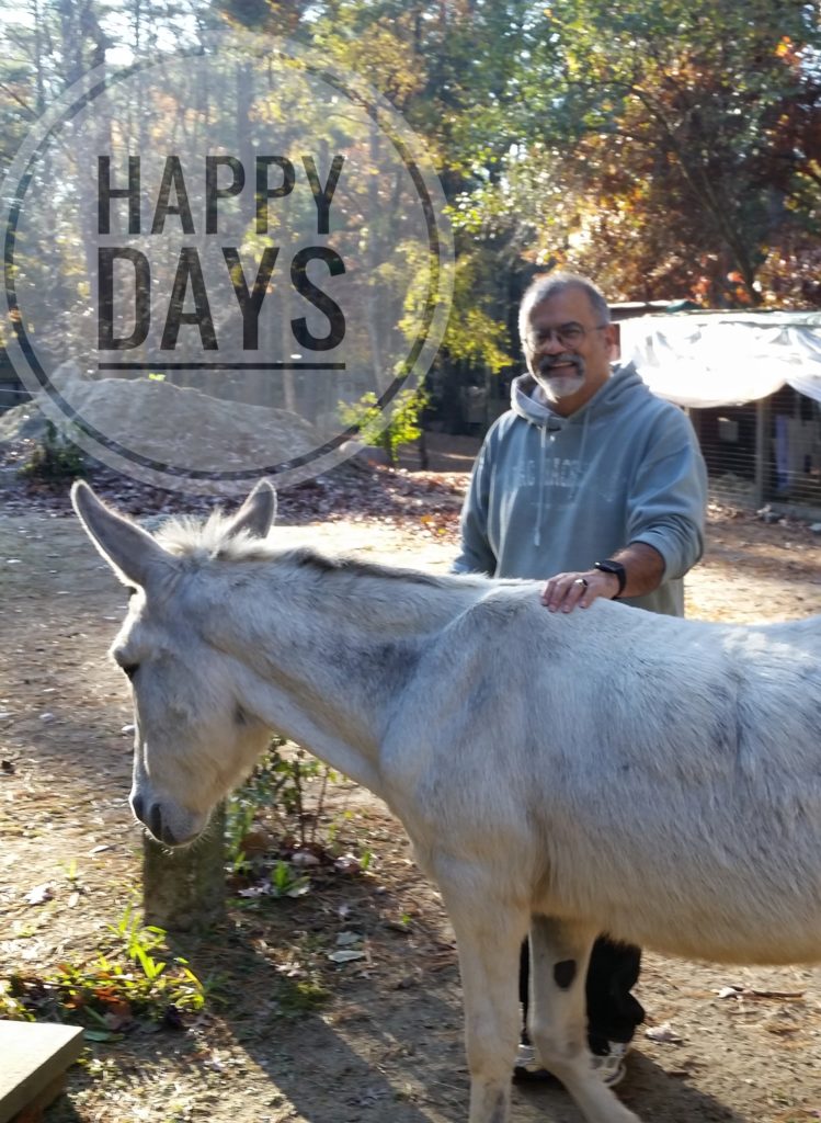 The author with a donkey - happy days. The author with a donkey - happy days.